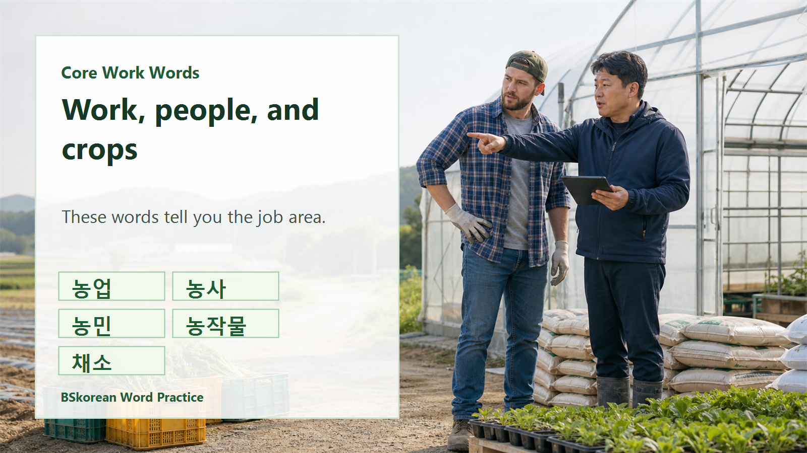 Korean farm work core vocabulary slide for agriculture, farmer, crops, and vegetables