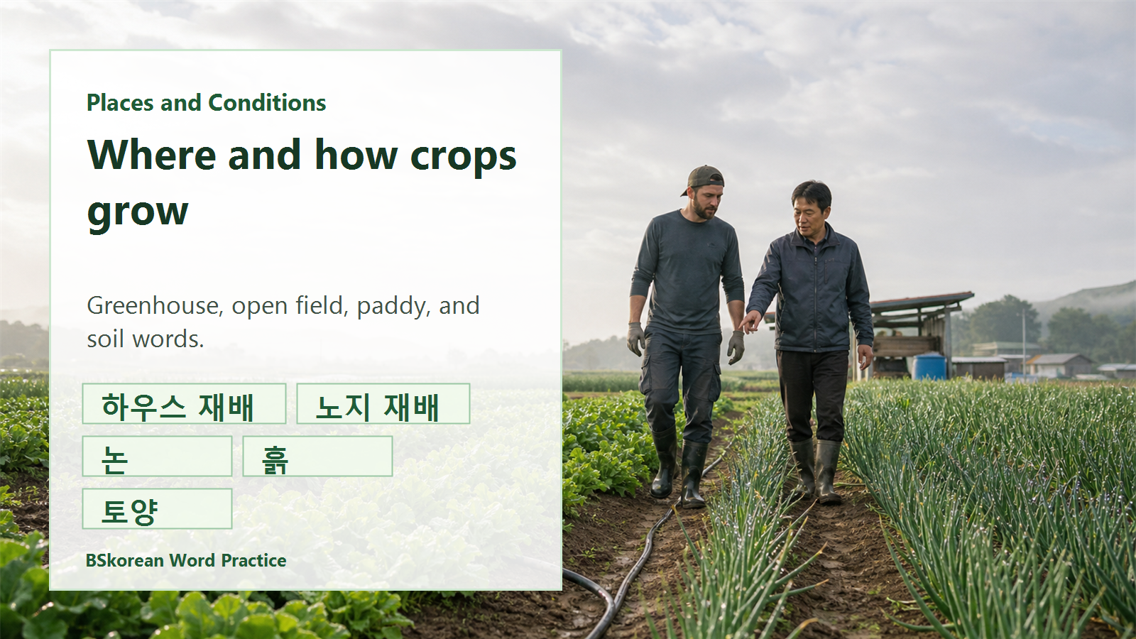 Korean agriculture places and growing conditions slide for greenhouse, open field, paddy, soil, and soil condition