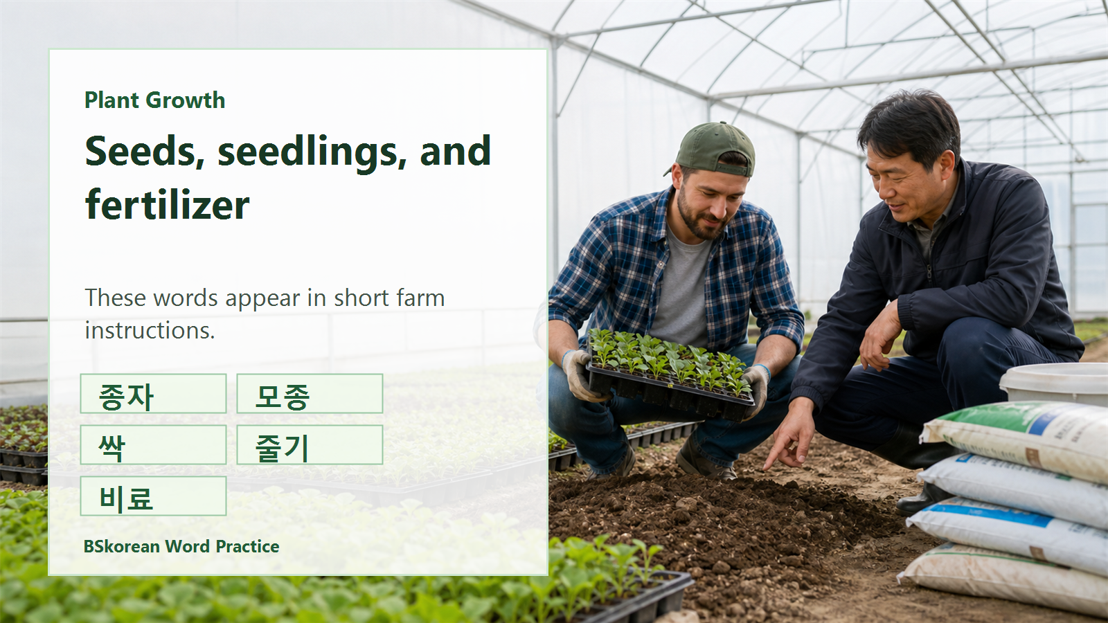 Korean plant growth vocabulary slide for seed stock, seedling, sprout, stem, and fertilizer